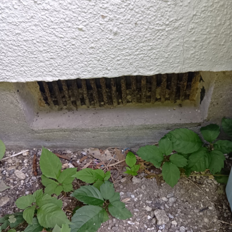 ネズミ駆除の施工事例（神奈川県横浜市栄区東上郷町）