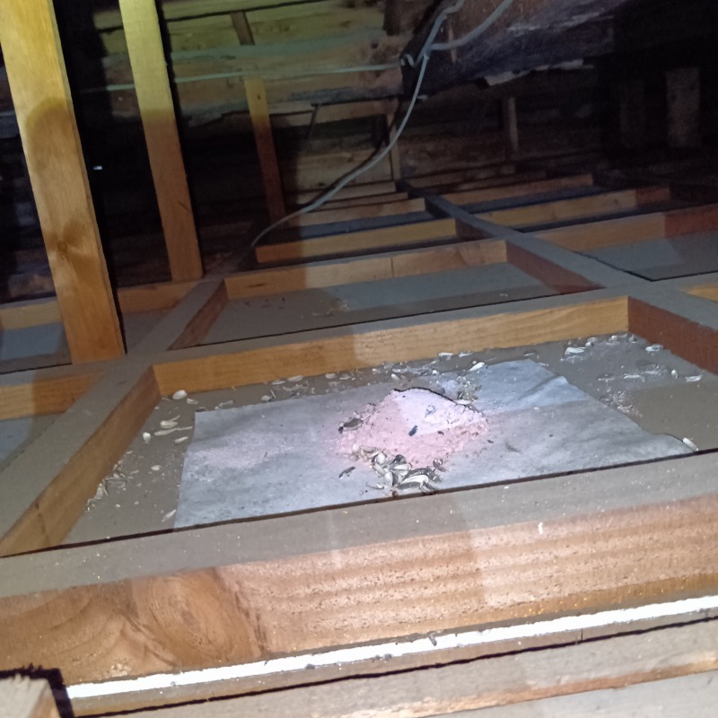 天井裏に設置した殺鼠剤