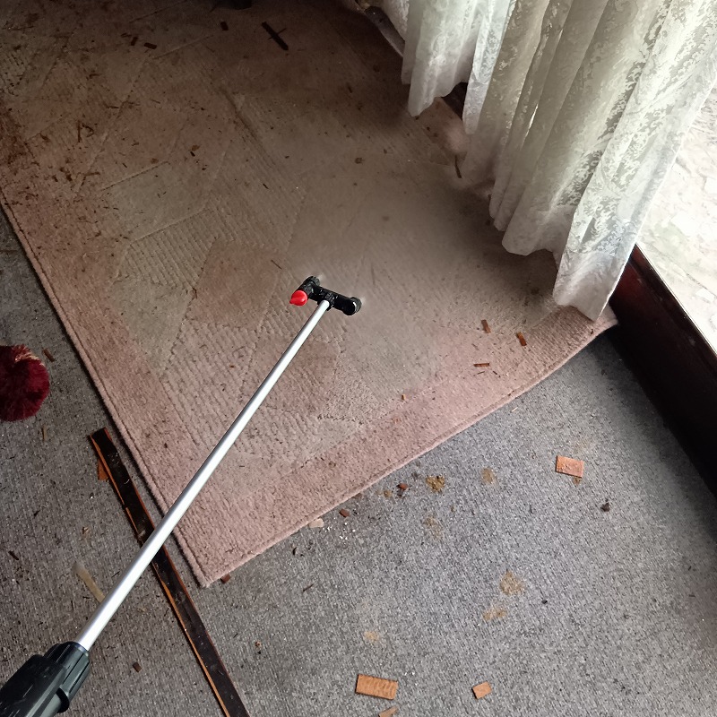 噴霧器でじゅうたんの上に薬剤を散布