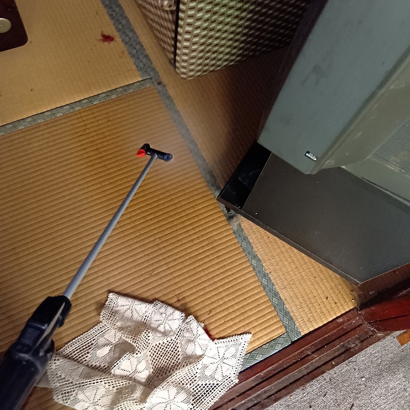 噴霧器で畳の上に薬剤を散布