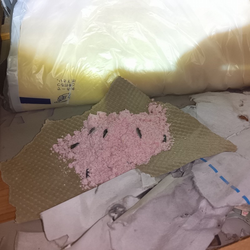 ネズミ駆除の施工事例（石川県輪島市河井町）