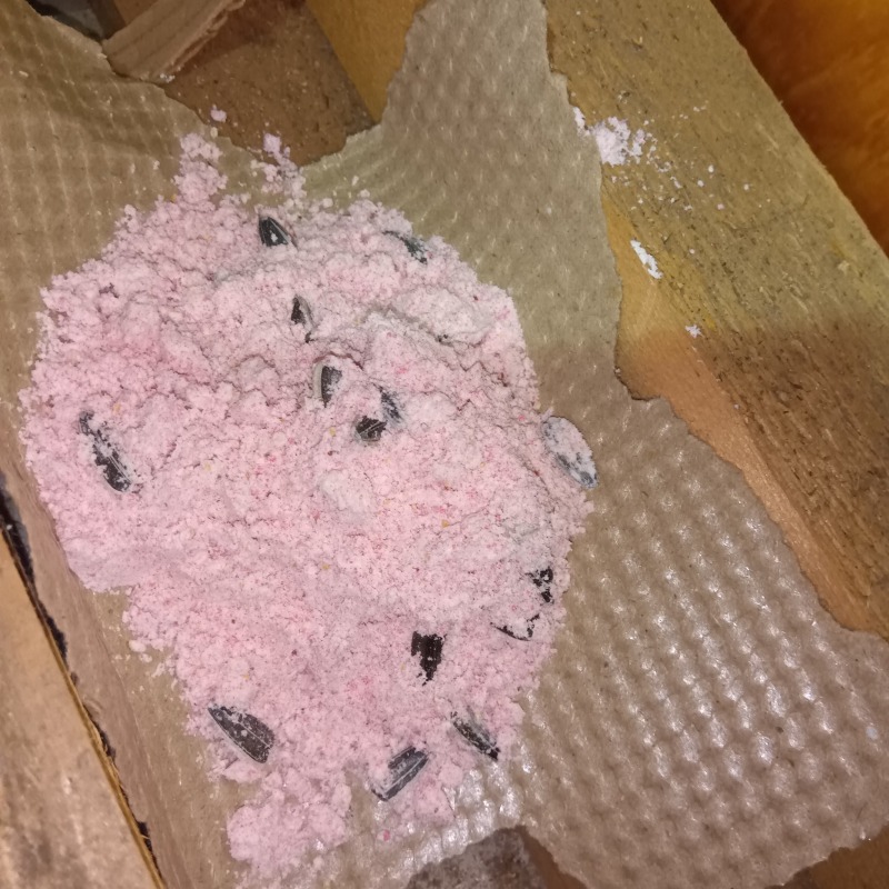 ヒマワリの種を混ぜ込んだ殺鼠剤