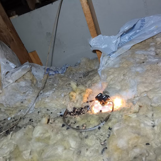 ボロボロにした断熱材のうえにフン害がある様子