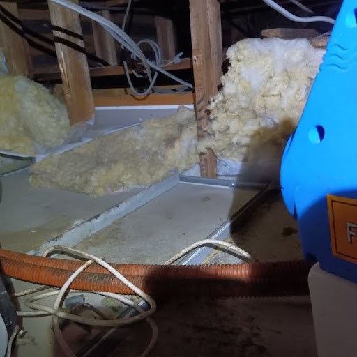 殺虫・消毒剤を散布する様子