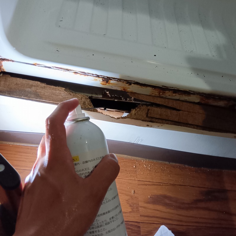 ネズミ駆除の施工事例（神奈川県横浜市港北区篠原町）