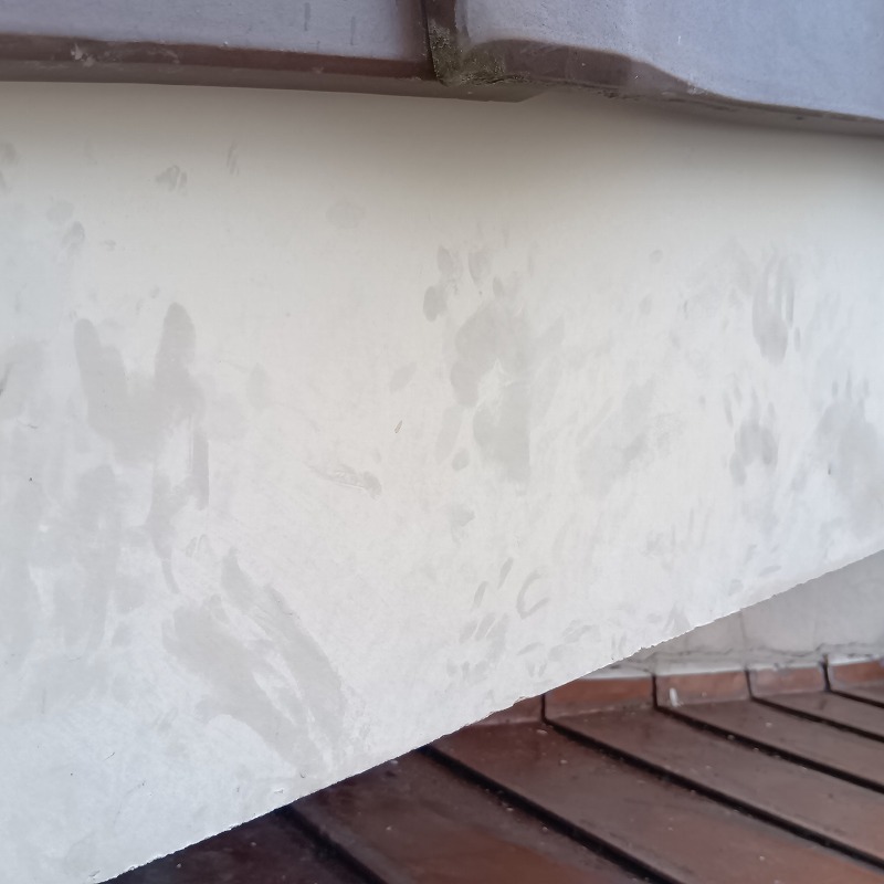 アライグマ駆除の施工事例（佐賀県鳥栖市村田町）