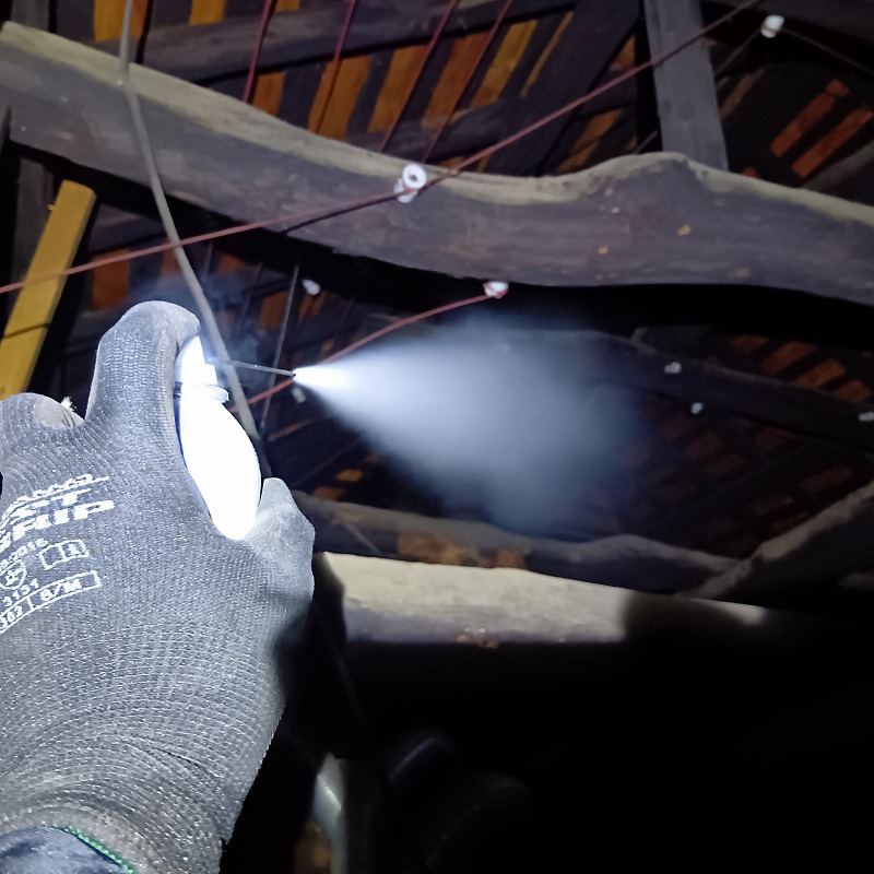 屋根裏に殺虫スプレーを散布