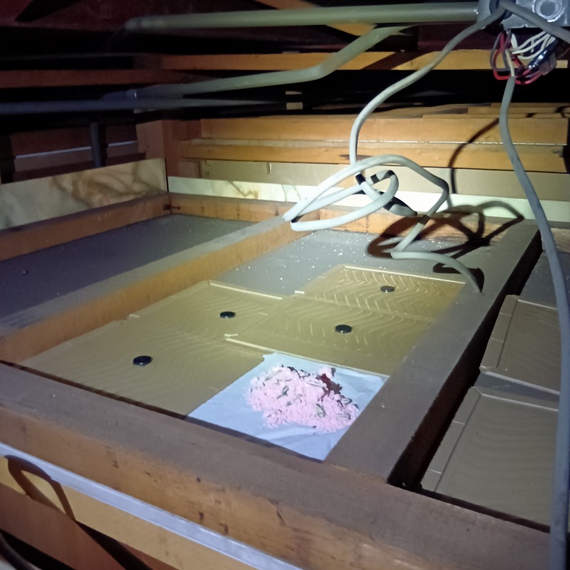 天井裏に設置した殺鼠剤と粘着シート