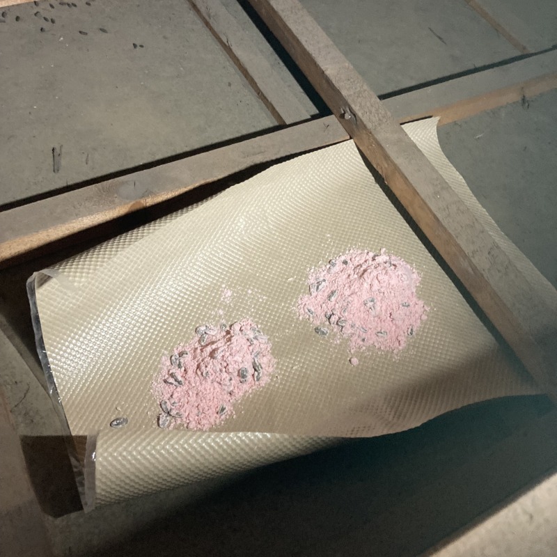 屋根裏に設置した殺鼠剤