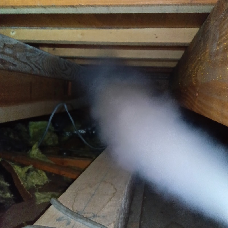 屋根裏に忌避剤を散布