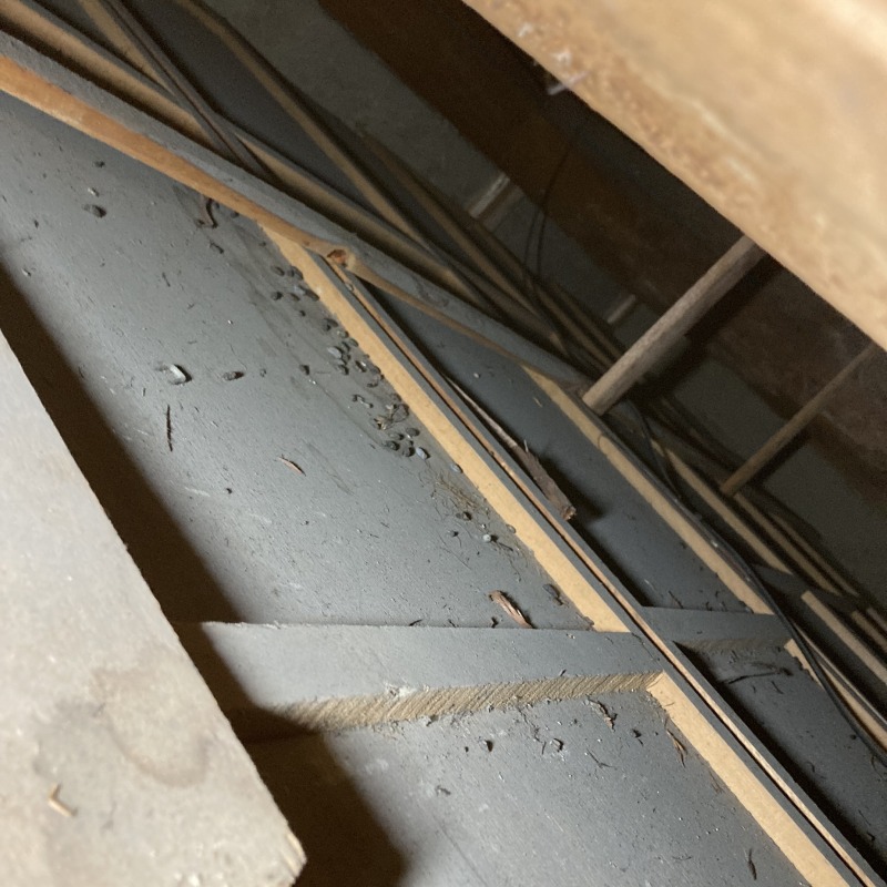 屋根裏のフン害