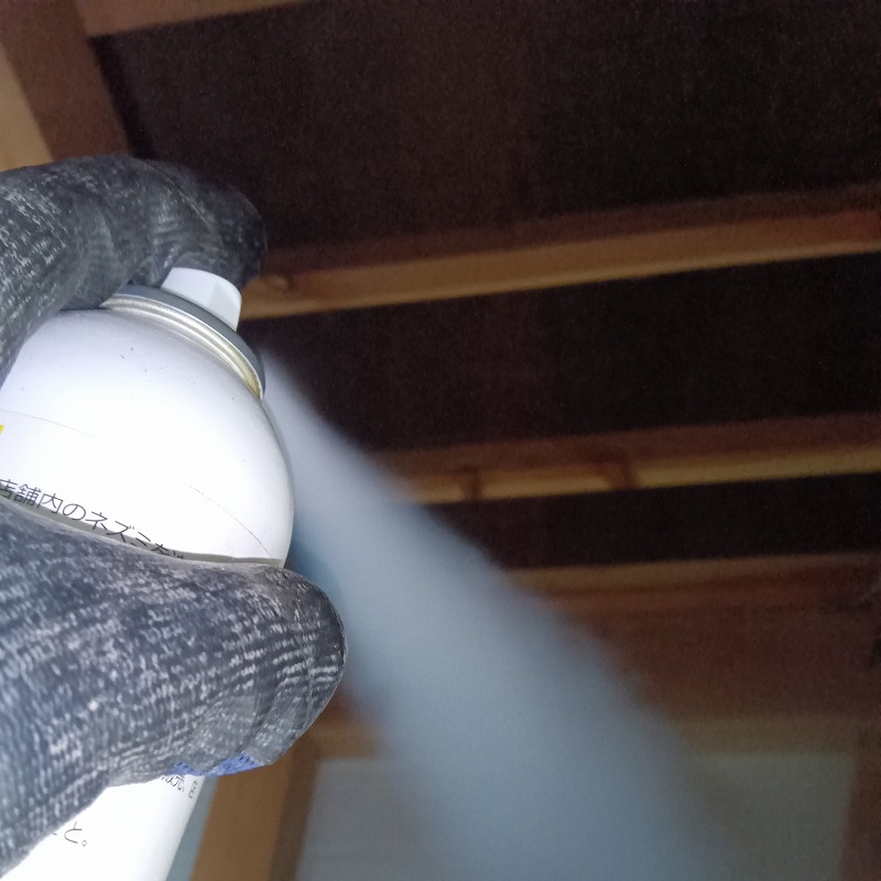 屋根裏に忌避スプレーを散布