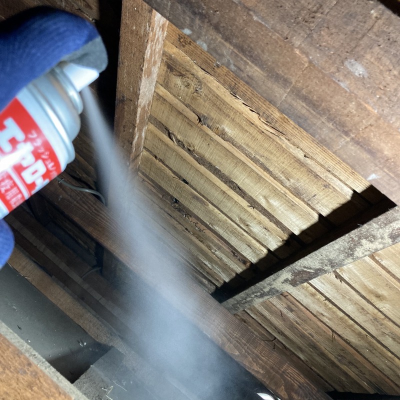 天井裏に殺虫剤を散布