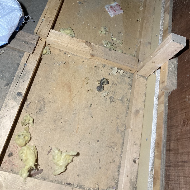 ハクビシン駆除の施工事例（静岡県磐田市川袋）