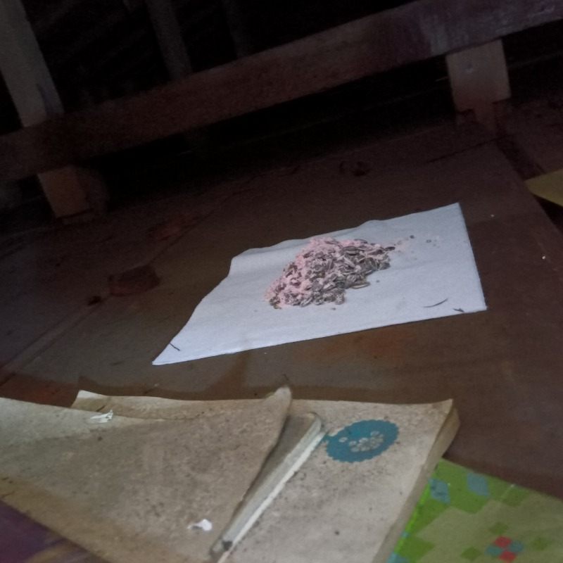 屋根裏に殺鼠剤を設置した様子