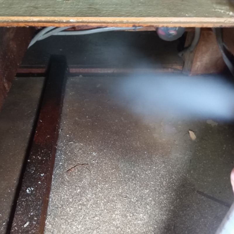 屋根裏に忌避剤を散布する様子