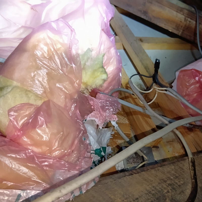 ネズミ駆除の施工事例（福岡県久留米市）