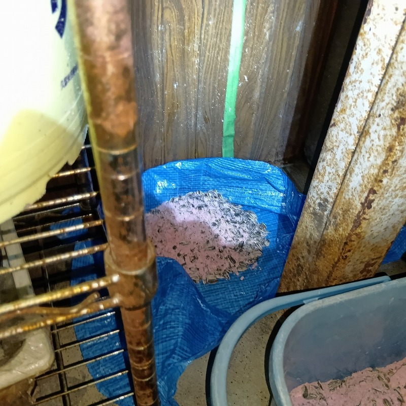 備品置き場に殺鼠剤を設置