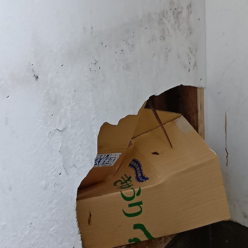侵入口になっていた壁に開いた大きな穴