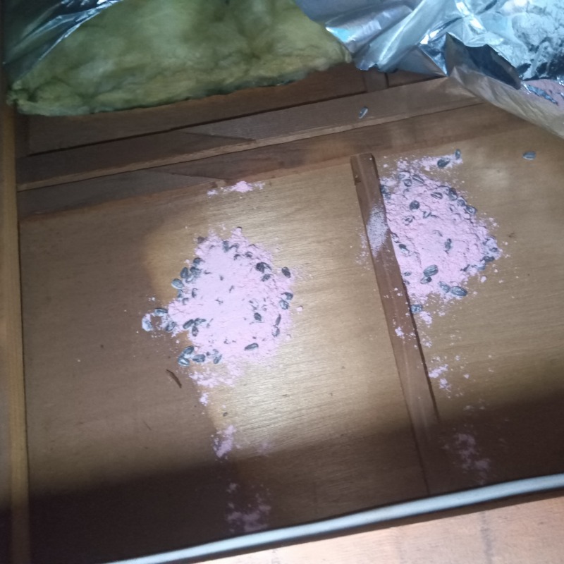 屋根裏に設置した殺鼠剤