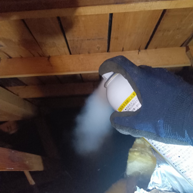屋根裏に忌避剤を散布する様子