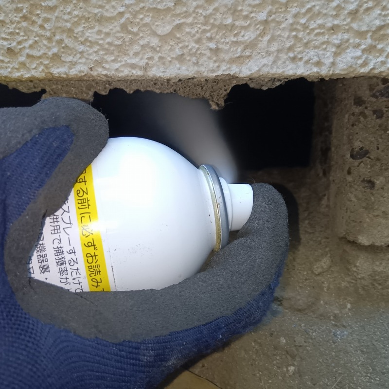 床下に忌避剤を散布する様子