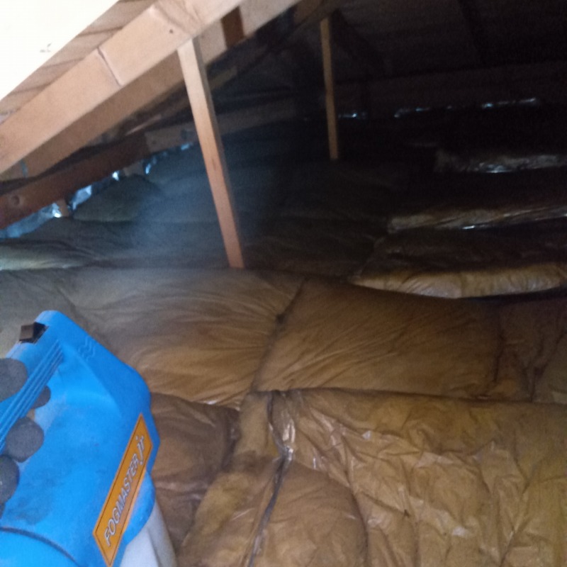 屋根裏に除菌・消臭剤を散布する様子