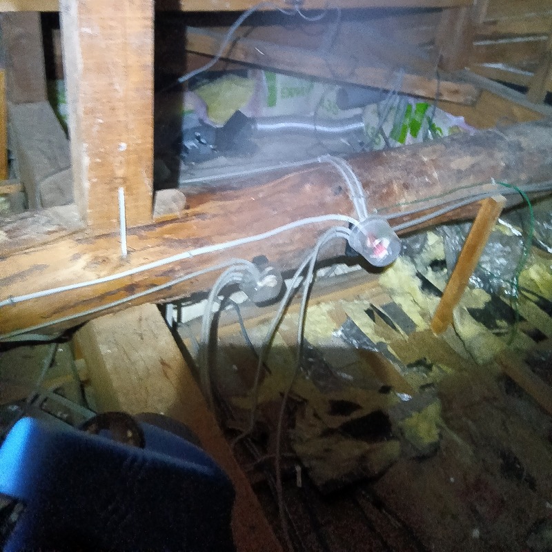 ハクビシン駆除の施工事例（新潟県長岡市川辺町）