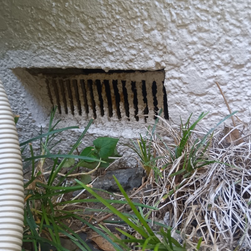 ネズミ駆除の施工事例（神奈川県横浜市戸塚区平戸）