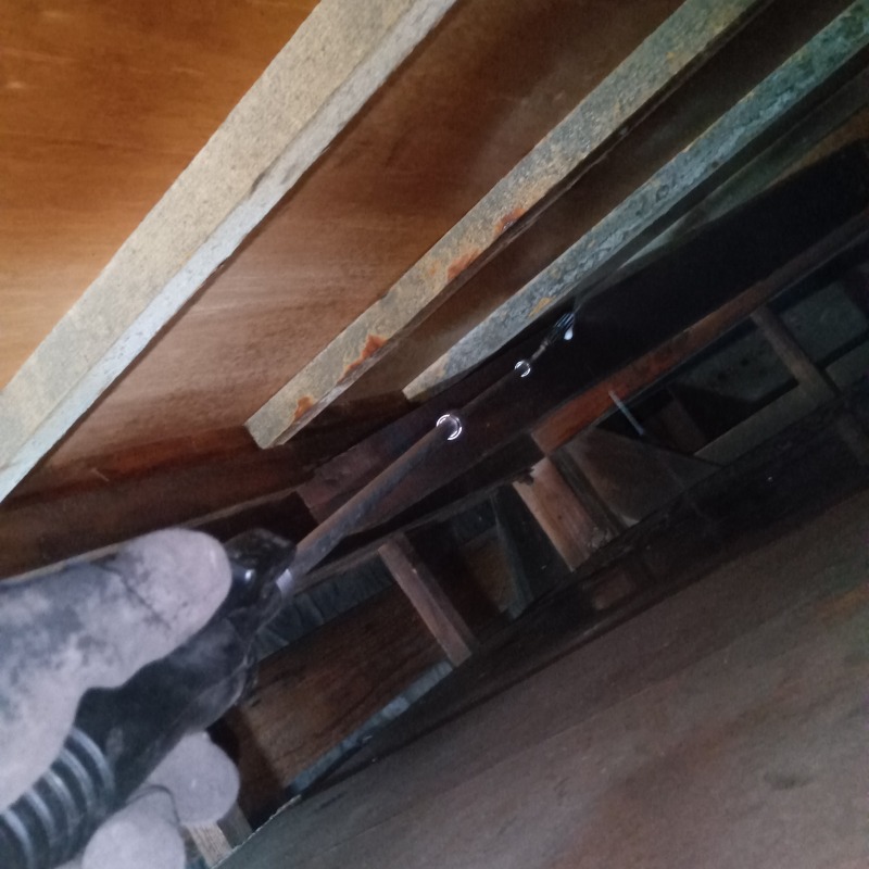 屋根裏に殺虫剤を散布