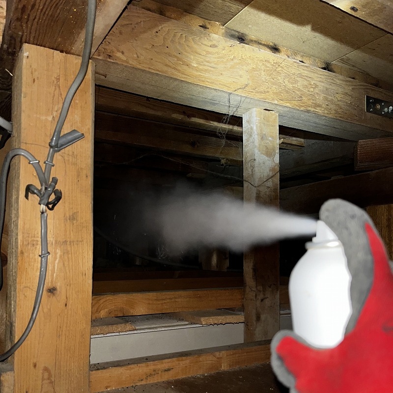 屋根裏に忌避スプレーを散布