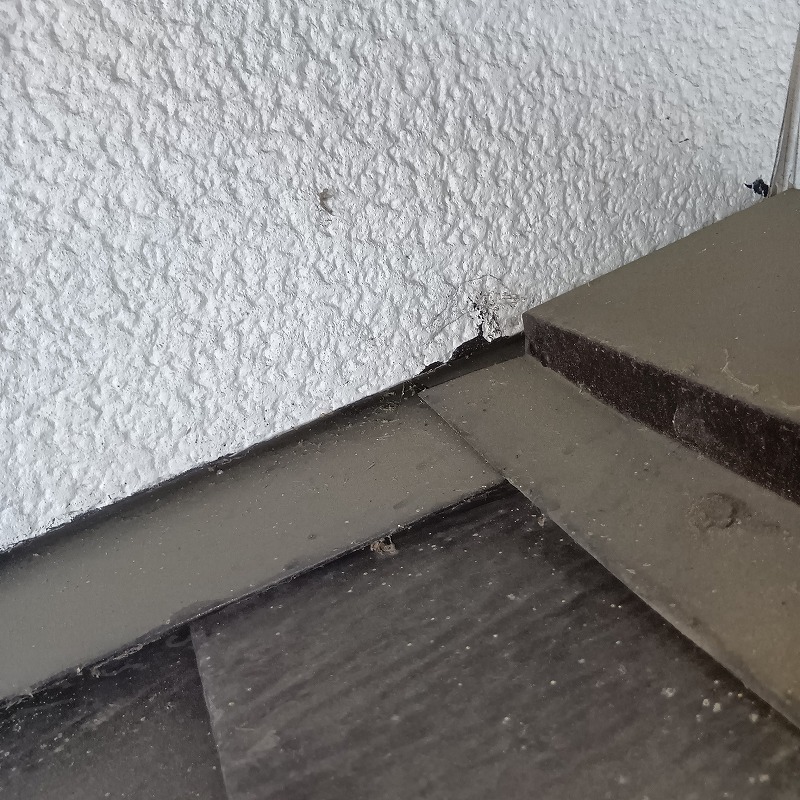 ネズミ駆除の施工事例（山形県山形市0）