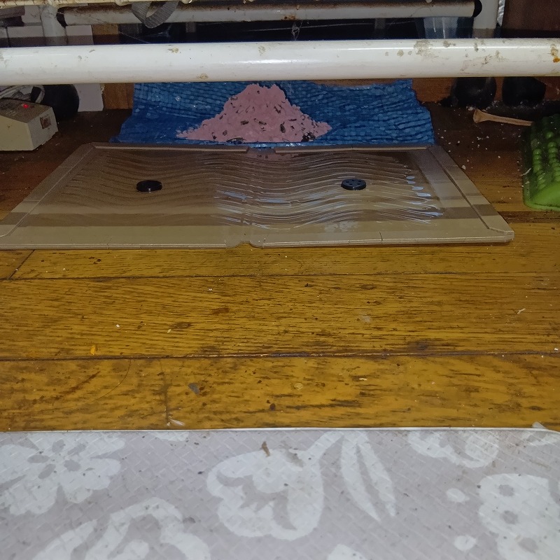 室内に粘着シートと殺鼠剤を設置した様子