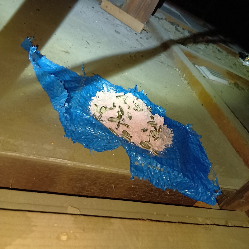 屋根裏にネズミの好物を混ぜた殺鼠剤を設置