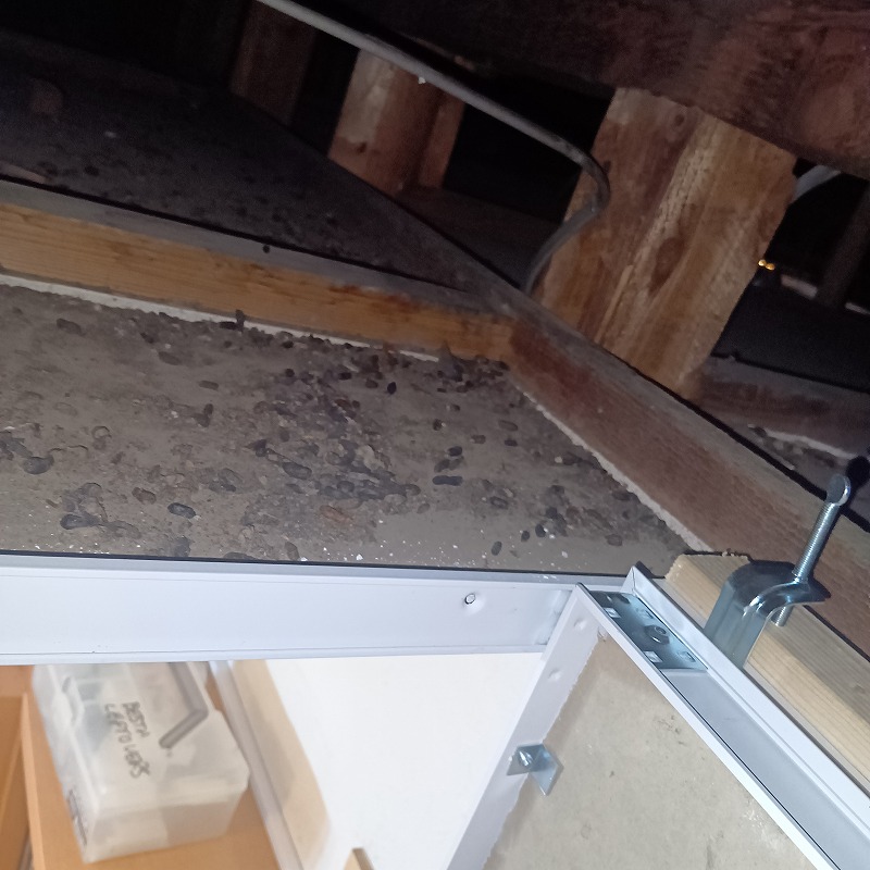 屋根裏のネズミのフン