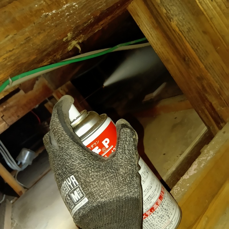 殺虫剤をスプレーする様子