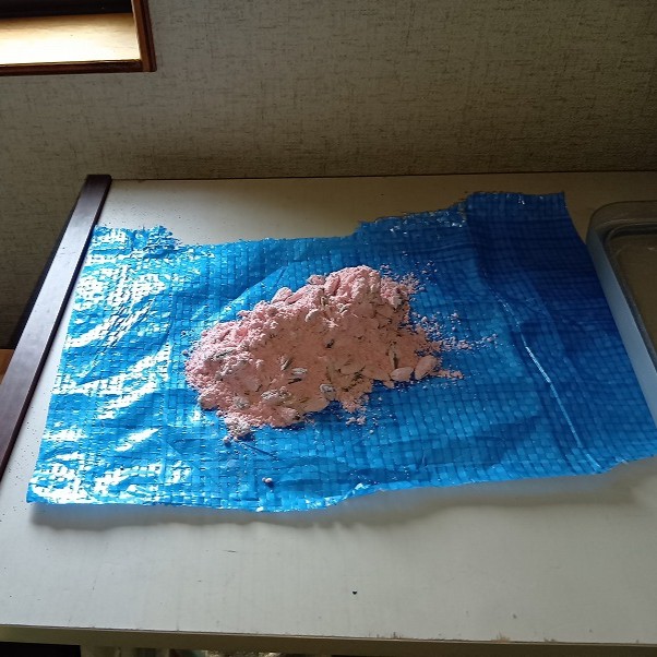 ネズミ駆除の施工事例（長崎県長崎市かき道）