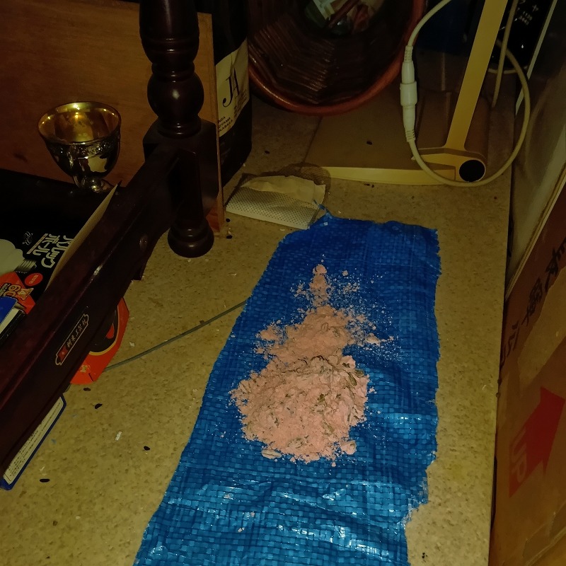 床に敷いたブルーシートの上に殺鼠剤を盛った様子