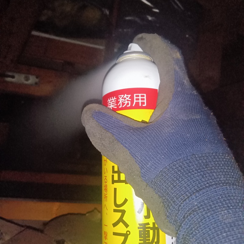 床下全体に忌避スプレーを散布