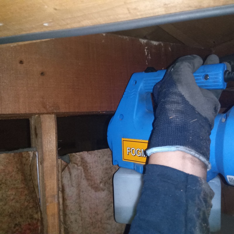 噴霧器で床下全体に薬剤を散布