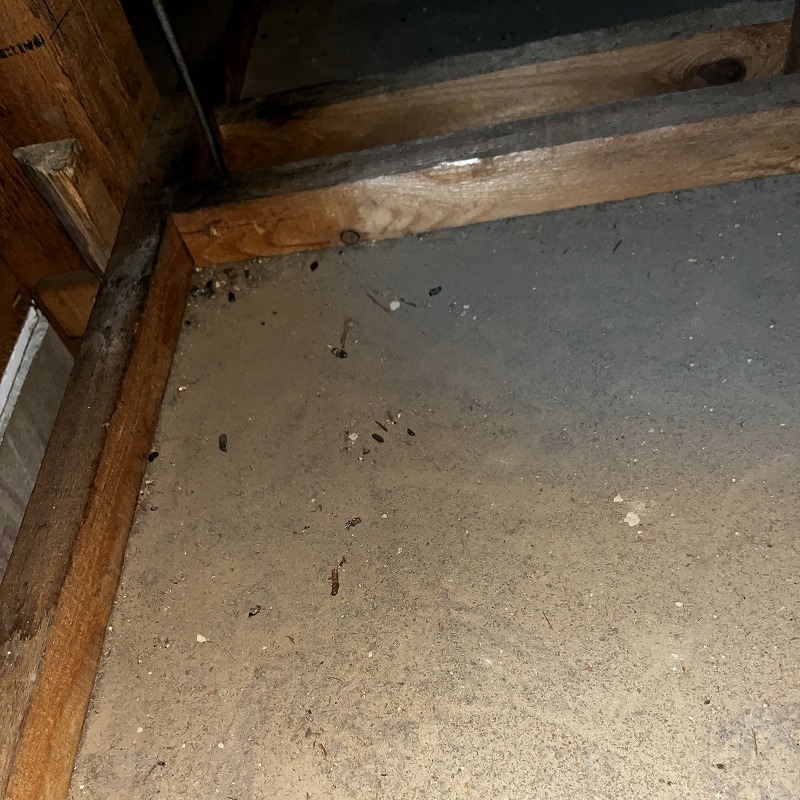 ネズミ駆除の施工事例（神奈川県川崎市宮前区有馬）