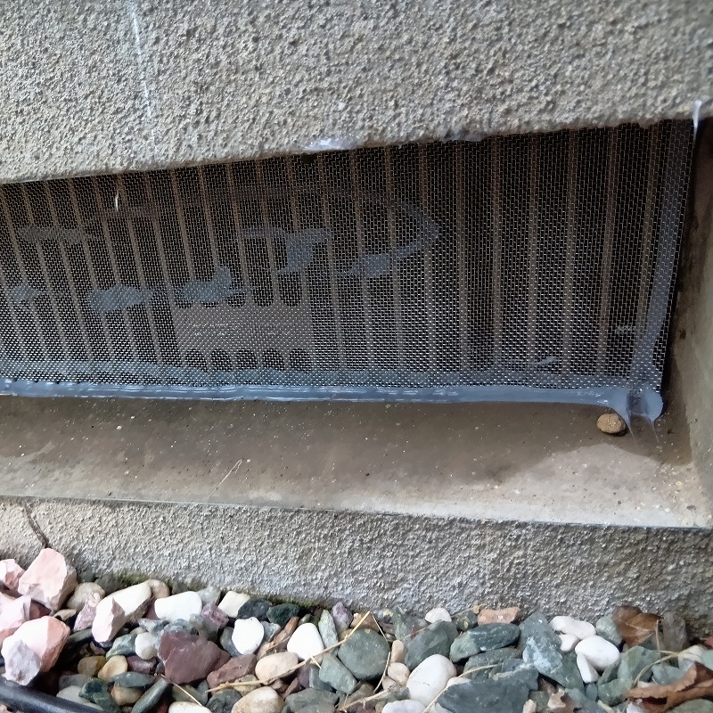 ネズミ駆除の施工事例（東京都町田市図師町）