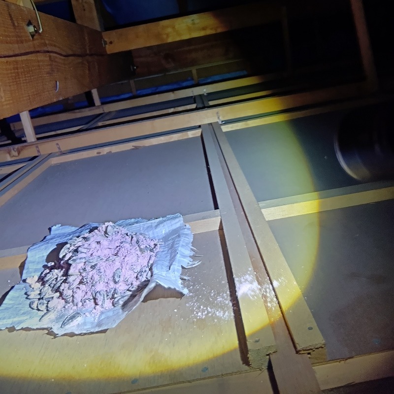 屋根裏に殺鼠剤を設置した様子