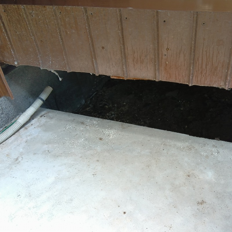 ネズミ駆除の施工事例（新潟県新発田市荒川）