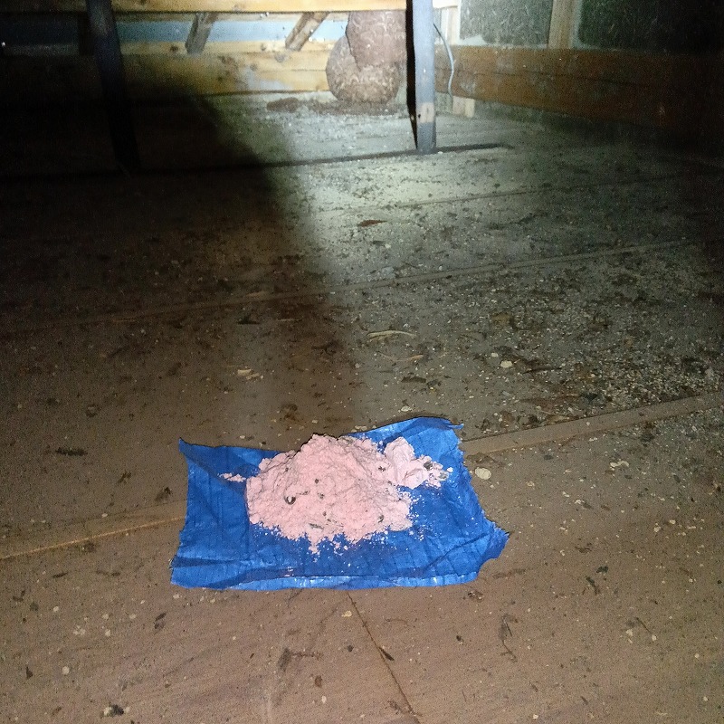 屋根裏に殺鼠剤を置いた様子