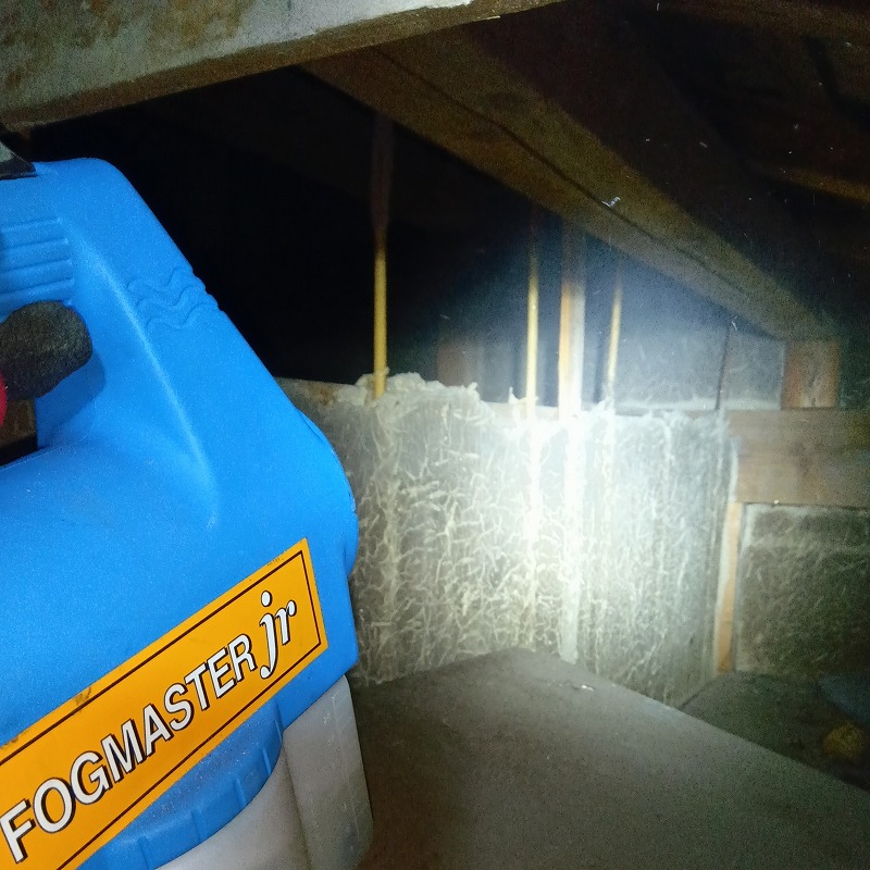 噴霧器で屋根裏に薬剤を散布