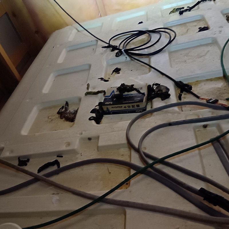 イタチ駆除の施工事例（石川県能美市西任田町）