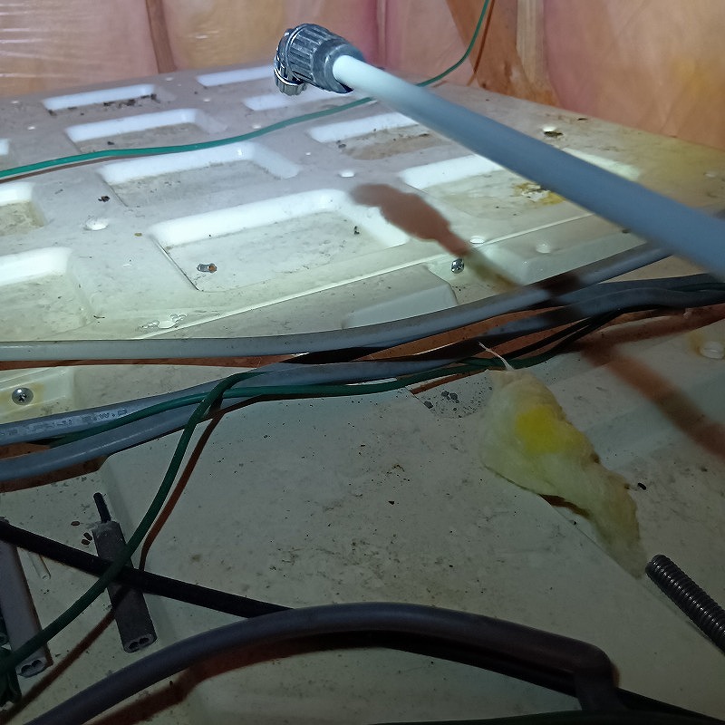 イタチのフンを回収し除菌する様子