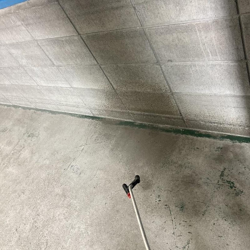 ネズミ駆除後の除菌・消毒作業の様子