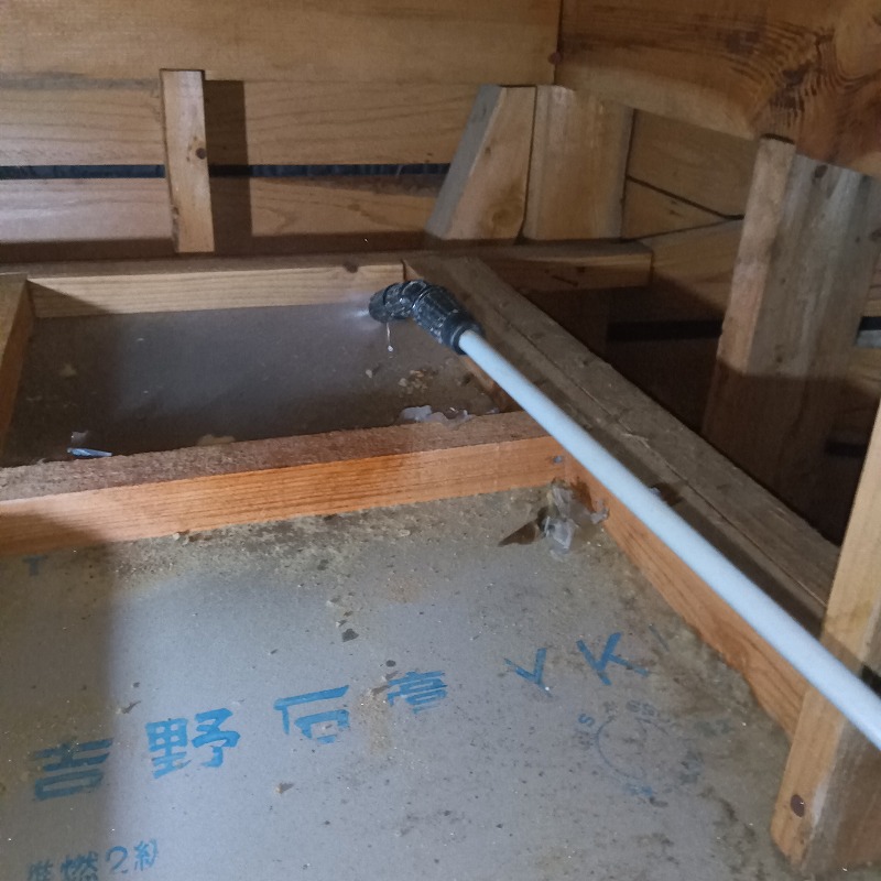 噴霧器で除菌剤を散布